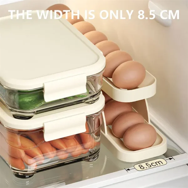 Double Layer Egg Dispenser