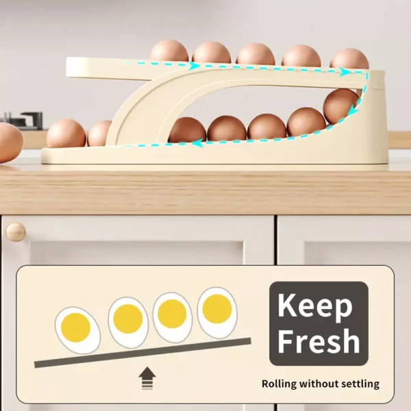 Double Layer Egg Dispenser